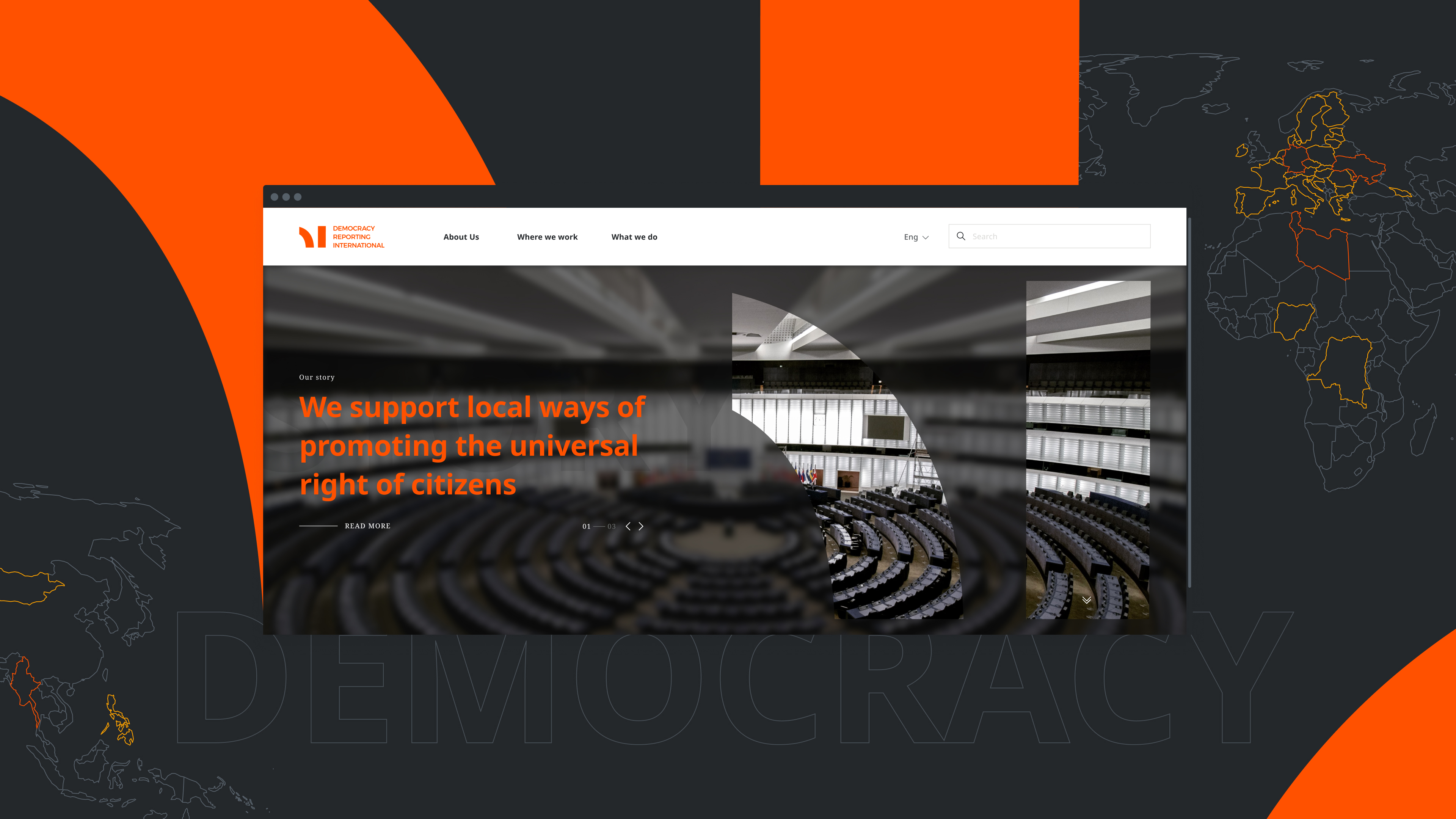 Democracy Reporting International (DRI)